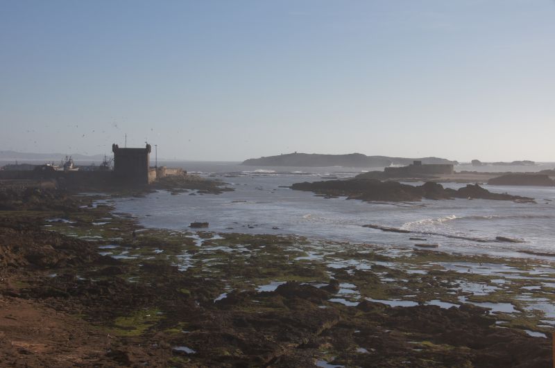 Viewing photos→2015→2015-03-15→126