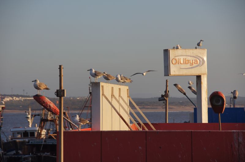 Viewing photos→2015→2015-03-15→148