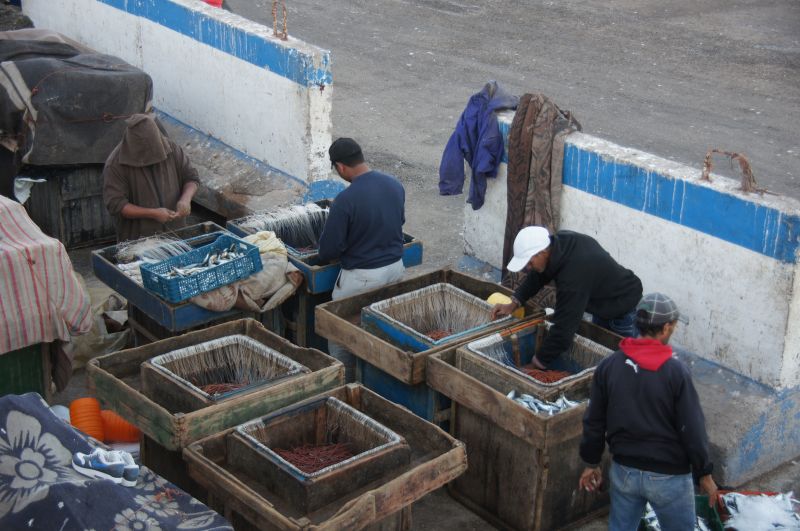 Viewing photos→2015→2015-03-15→153