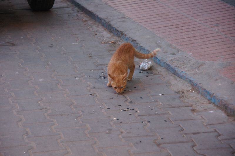 Viewing photos→2015→2015-03-15→160