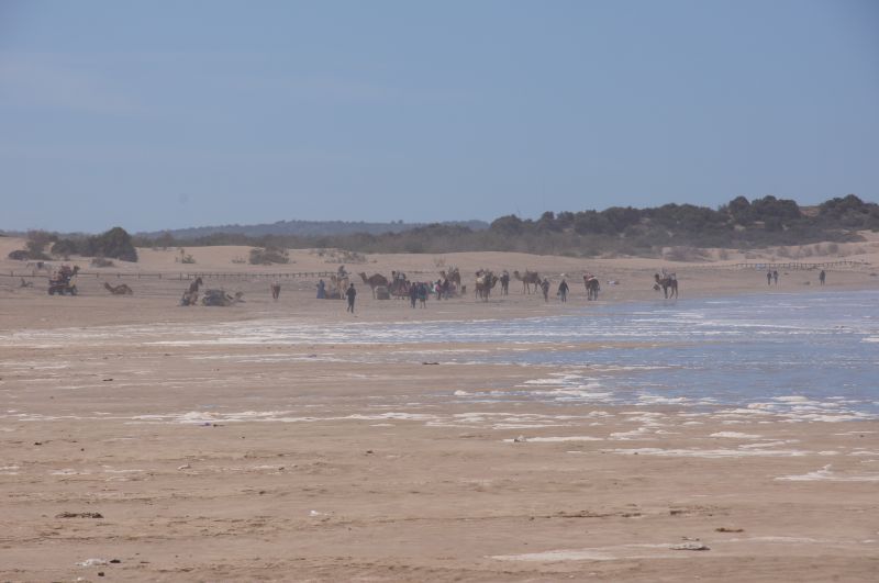 Viewing photos→2015→2015-03-15→168