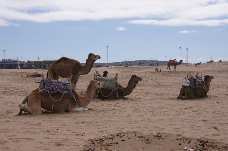 Viewing photos→2015→2015-03-15→169