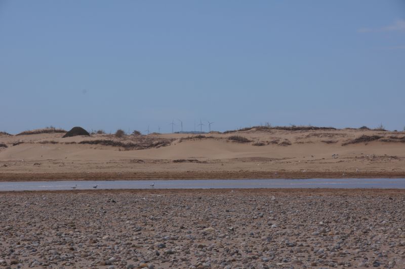 Viewing photos→2015→2015-03-15→171