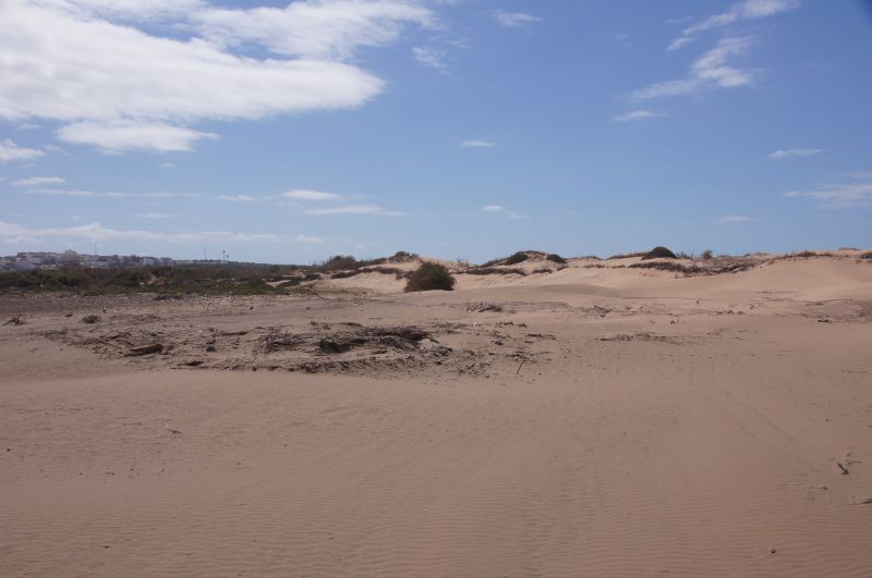 Viewing photos→2015→2015-03-15→175