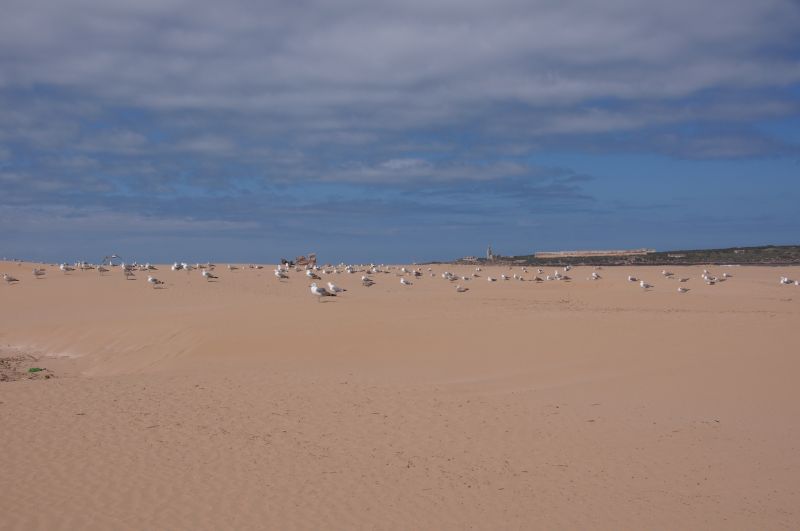 Viewing photos→2015→2015-03-15→176