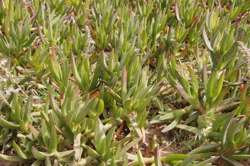 Viewing photos→2015→2015-03-15→178