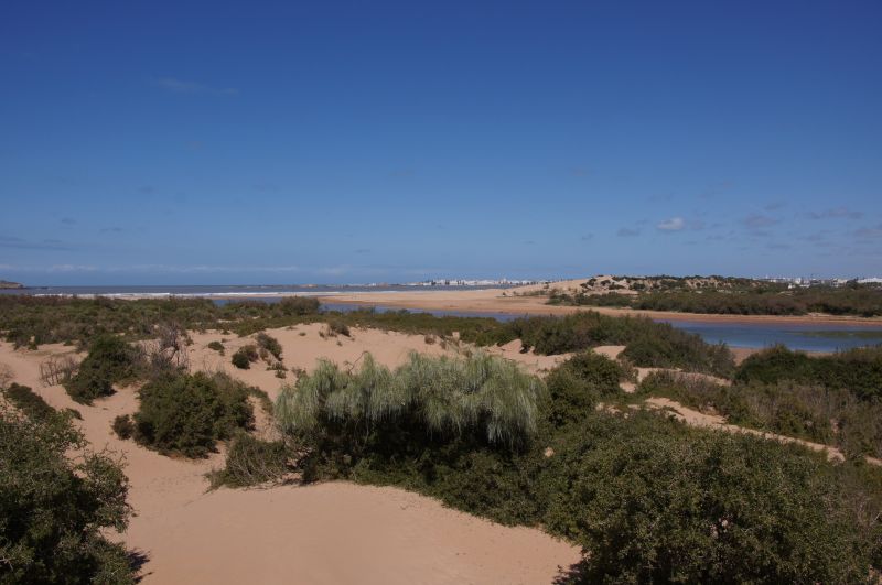 Viewing photos→2015→2015-03-15→198