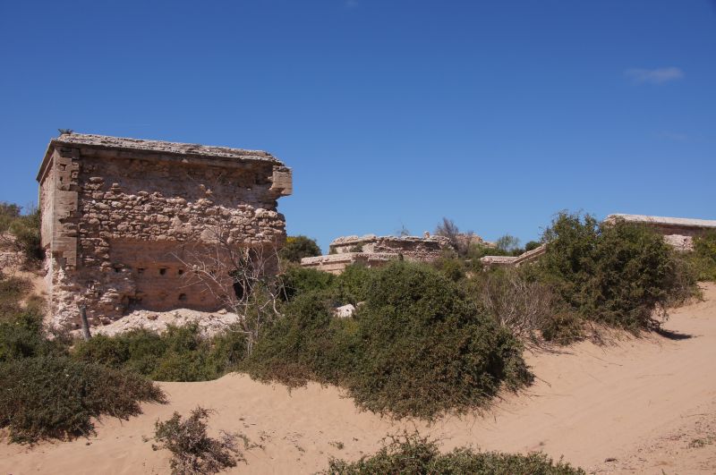 Viewing photos→2015→2015-03-15→205