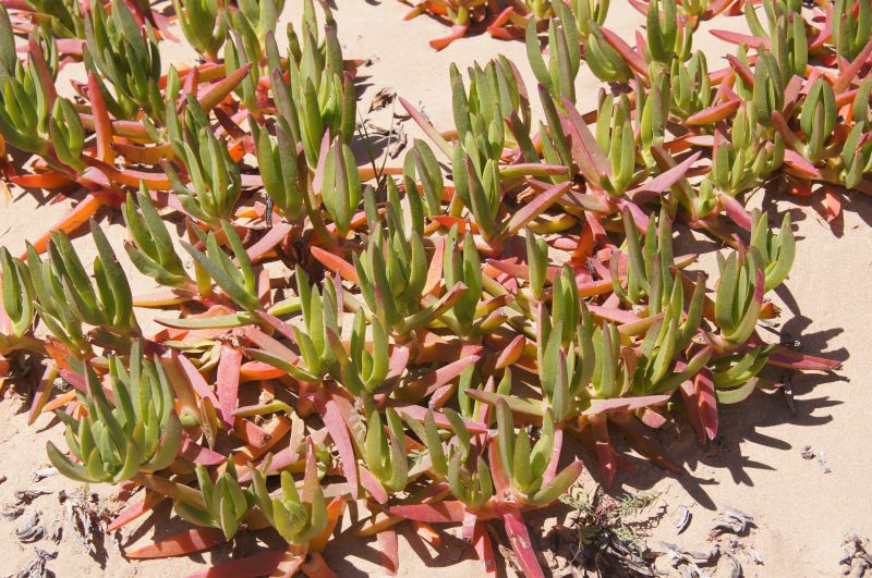 Viewing photos→2015→2015-03-15→209