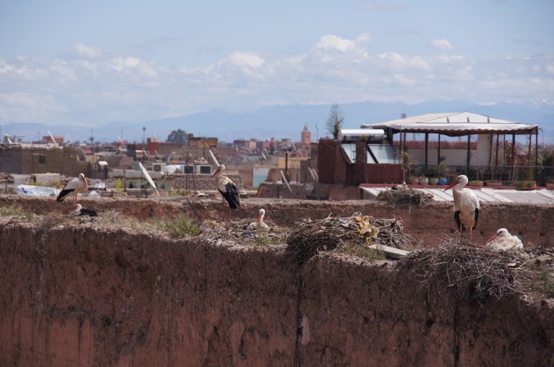 Viewing photos→2015→2015-03-18→006