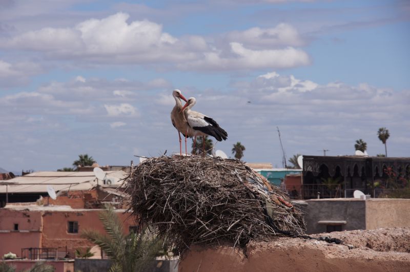 Viewing photos→2015→2015-03-18→008