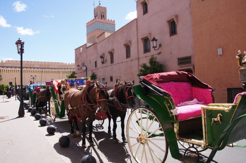 Viewing photos→2015→2015-03-18→025