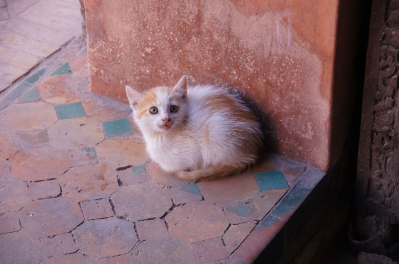 Viewing photos→2015→2015-03-18→027