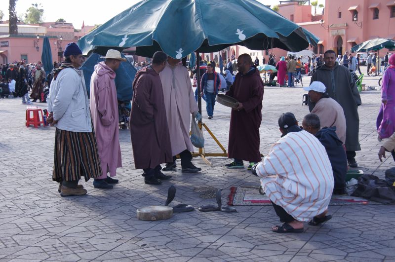 Viewing photos→2015→2015-03-18→050