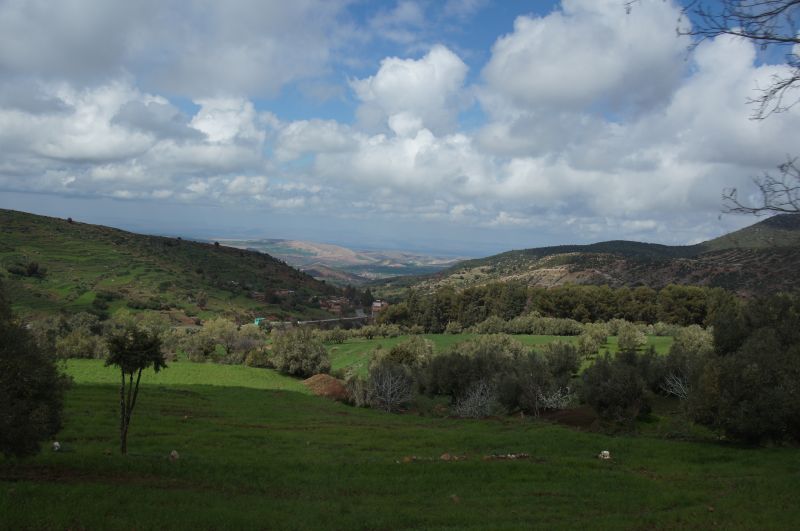 Viewing photos→2015→2015-03-18→075