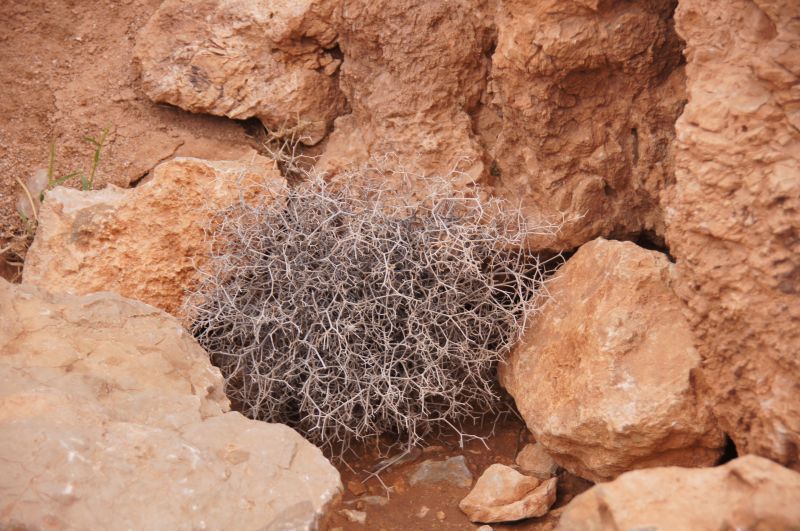 Viewing photos→2015→2015-03-18→184