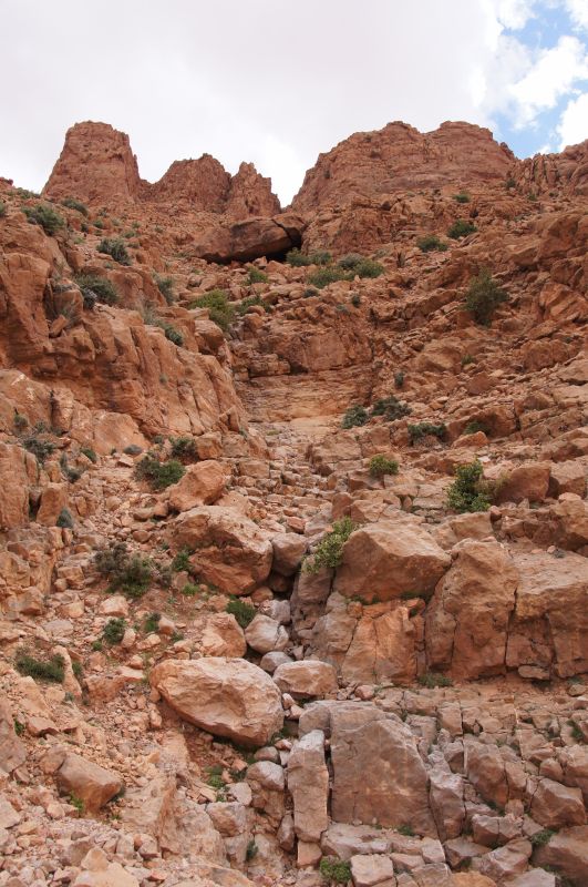 Viewing photos→2015→2015-03-18→190