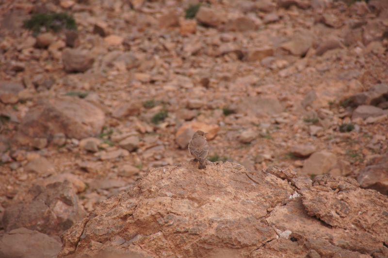 Viewing photos→2015→2015-03-18→192