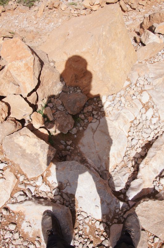 Viewing photos→2015→2015-03-18→195