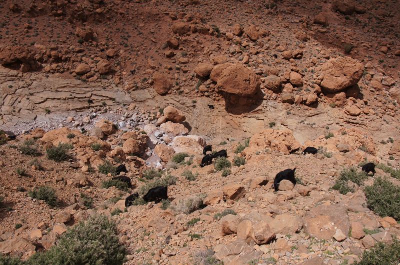 Viewing photos→2015→2015-03-18→206