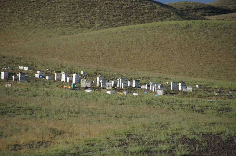 Viewing photos→2015→2015-03-18→214