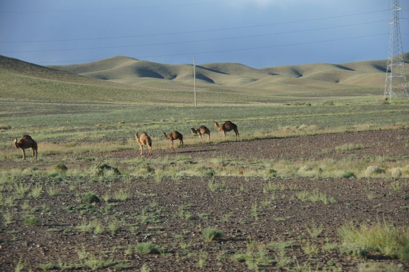 Viewing photos→2015→2015-03-18→215