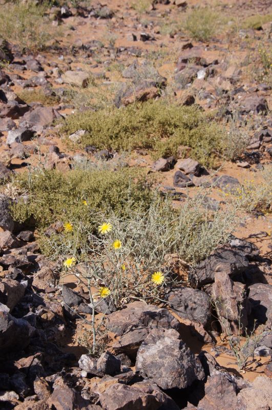 Viewing photos→2015→2015-03-21→014