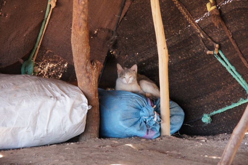 Viewing photos→2015→2015-03-21→025