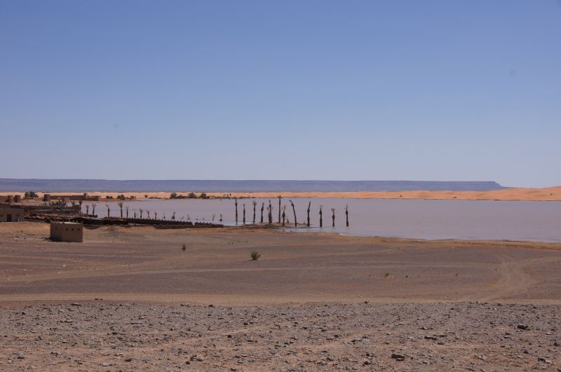 Viewing photos→2015→2015-03-21→031