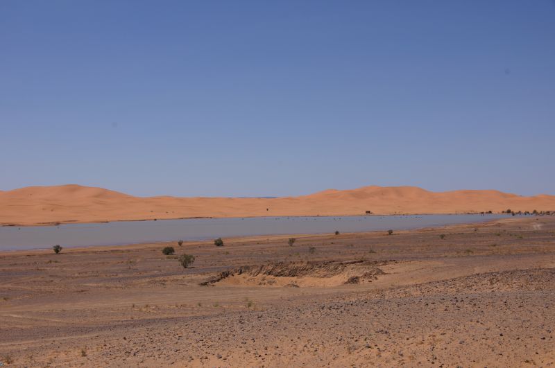 Viewing photos→2015→2015-03-21→033