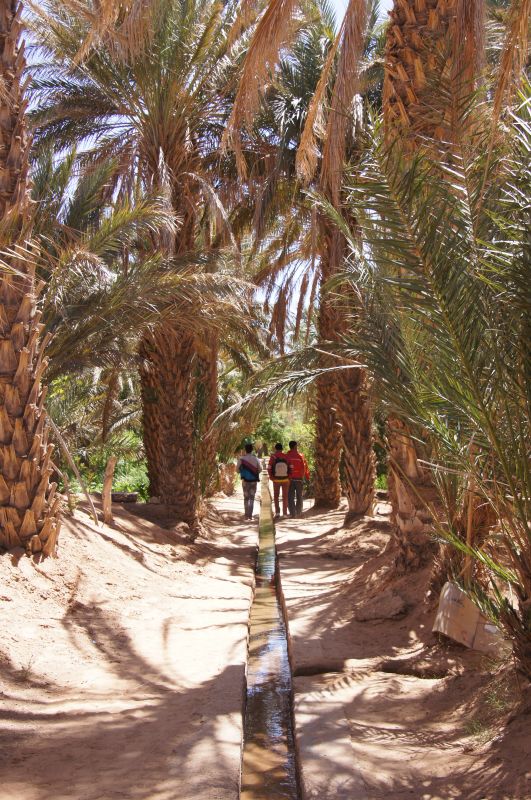 Viewing photos→2015→2015-03-21→041