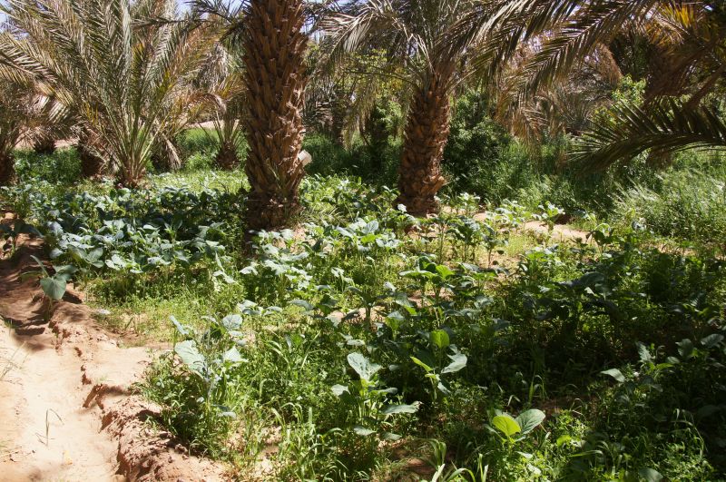 Viewing photos→2015→2015-03-21→043