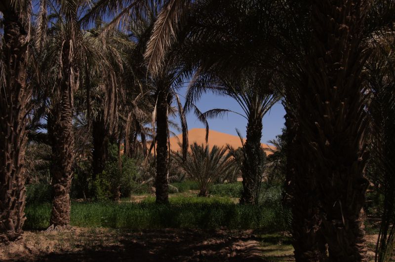 Viewing photos→2015→2015-03-21→045