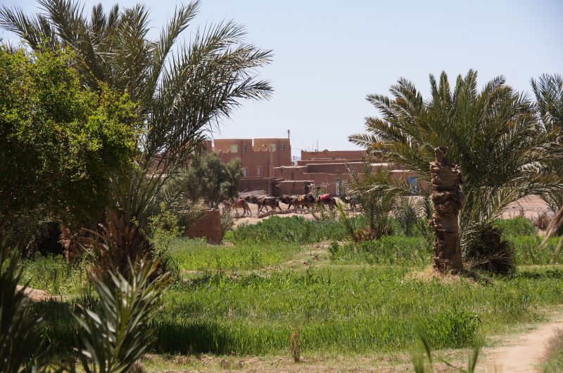 Viewing photos→2015→2015-03-21→047