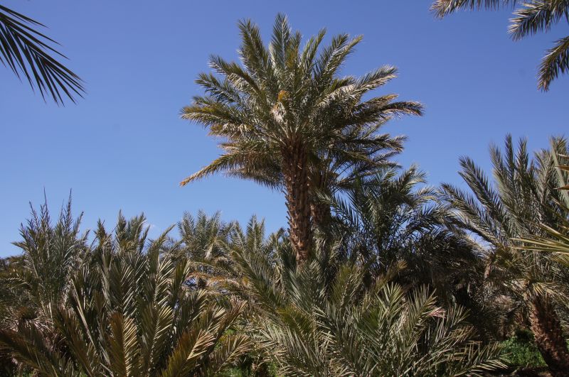 Viewing photos→2015→2015-03-21→049