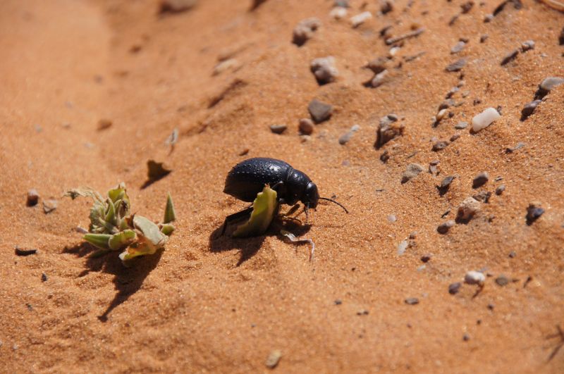 Viewing photos→2015→2015-03-21→058