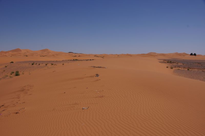 Viewing photos→2015→2015-03-21→062