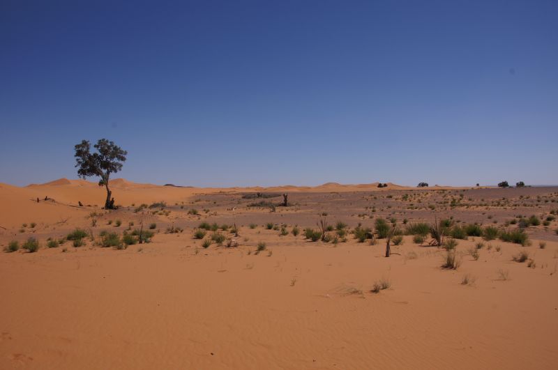 Viewing photos→2015→2015-03-21→069