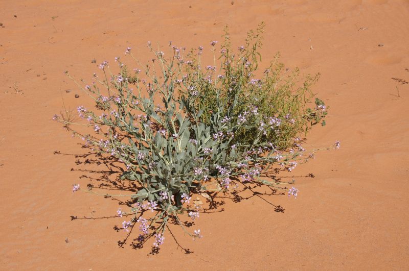 Viewing photos→2015→2015-03-21→070