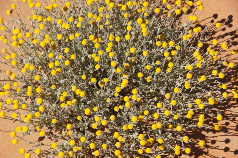 Viewing photos→2015→2015-03-21→072