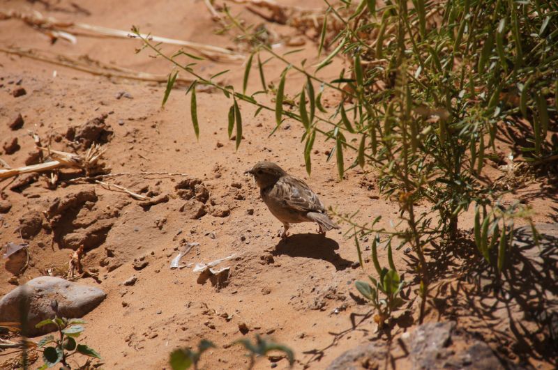 Viewing photos→2015→2015-03-21→074