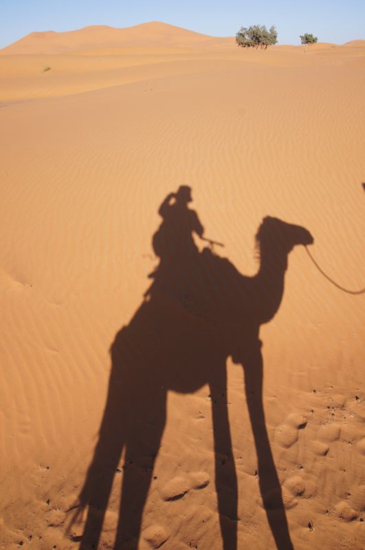 Viewing photos→2015→2015-03-21→081