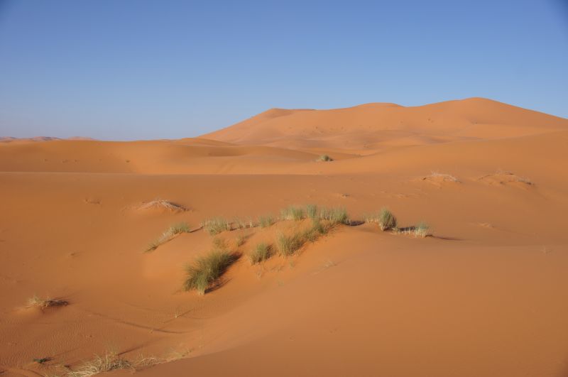 Viewing photos→2015→2015-03-21→086