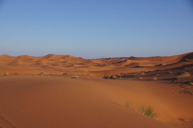 Viewing photos→2015→2015-03-21→093