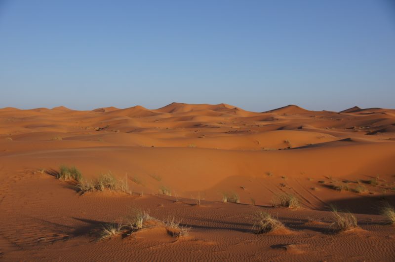 Viewing photos→2015→2015-03-21→096