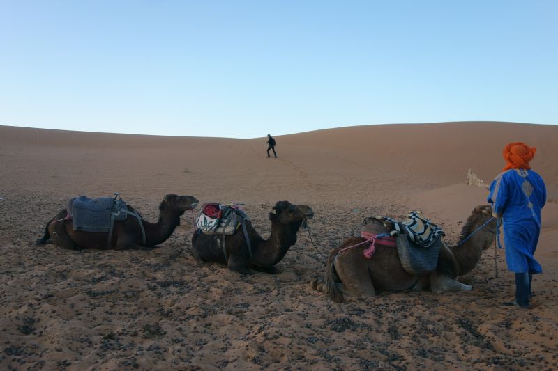 Viewing photos→2015→2015-03-21→108