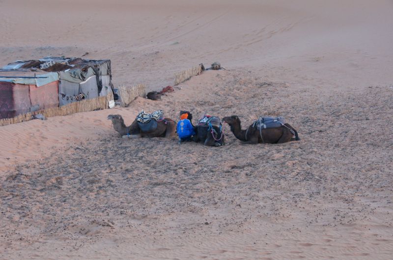 Viewing photos→2015→2015-03-21→112