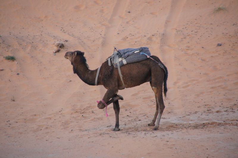 Viewing photos→2015→2015-03-21→142