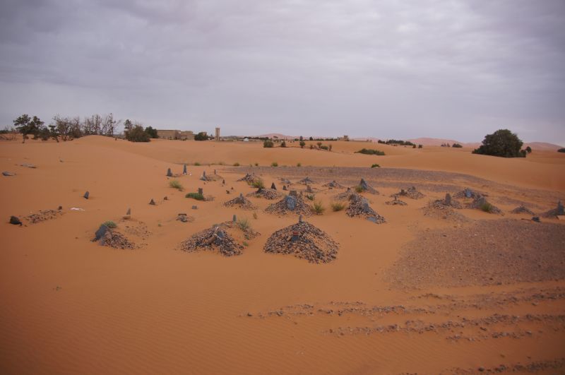 Viewing photos→2015→2015-03-21→156