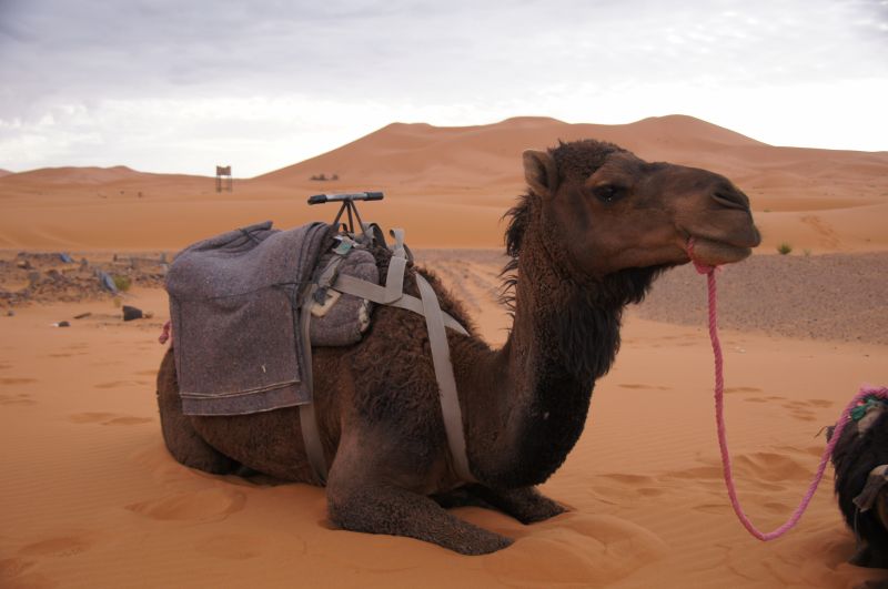 Viewing photos→2015→2015-03-21→158